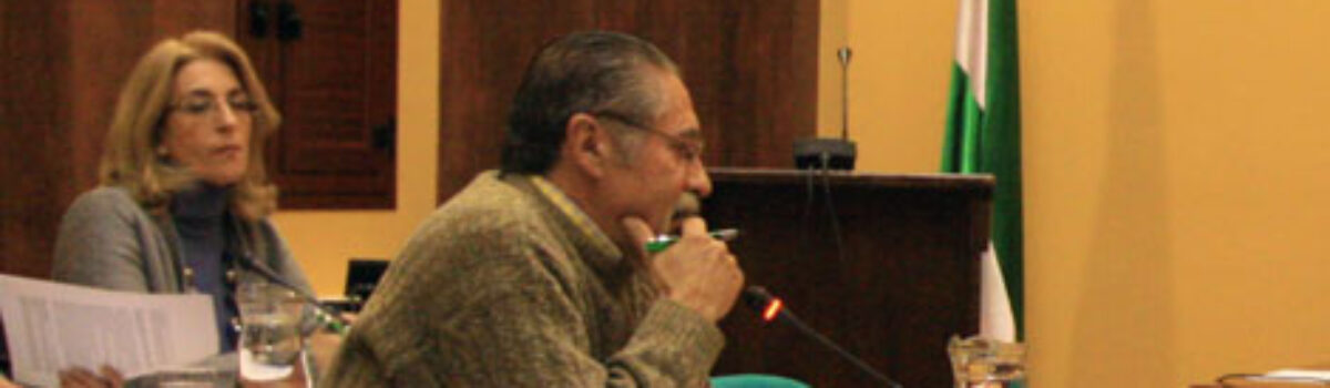 IU se abstiene en la liberación de un nuevo concejal del Equipo de Gobierno