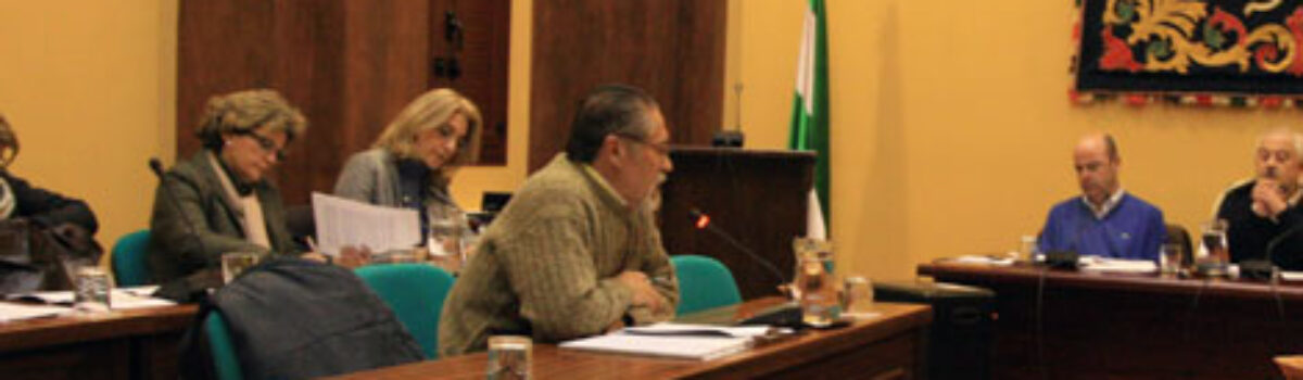 Ruegos y Preguntas de IU en el pleno de enero
