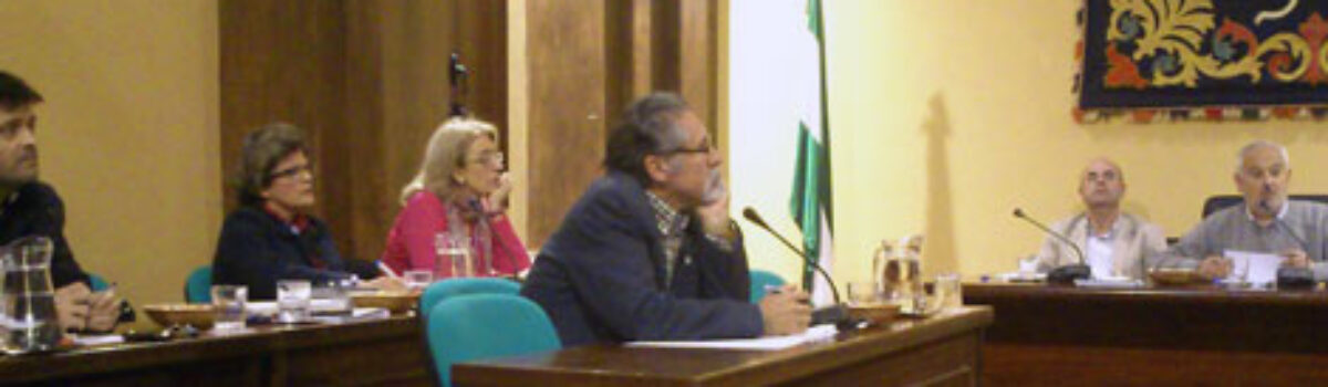 Ruegos y Preguntas del pleno de abril de 2012