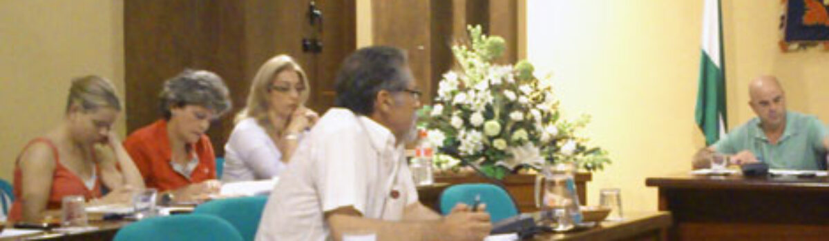 Ruegos y preguntas del pleno de junio de 2012