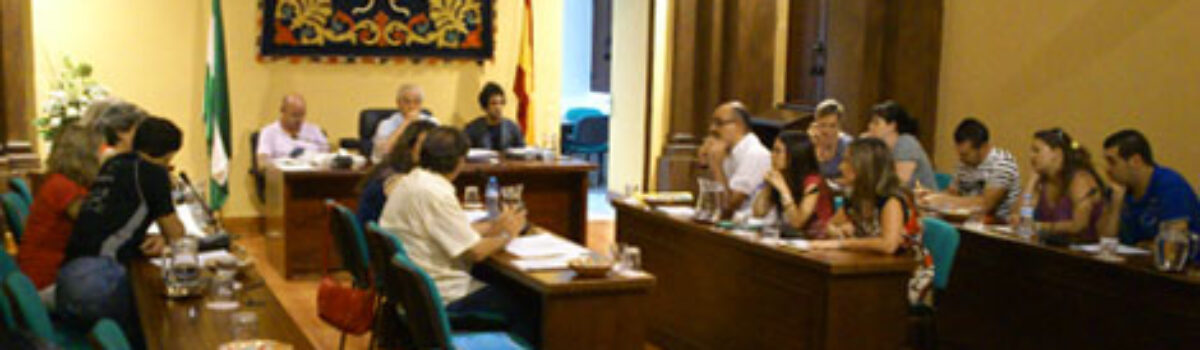 Ruegos y preguntas del pleno de julio de 2012