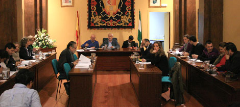Aspecto del Pleno de octubre de 2012