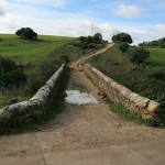Parte superior del Puente del Realejo