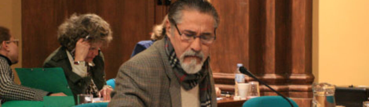Ruegos y Preguntas de IU en el Pleno de Enero 2013