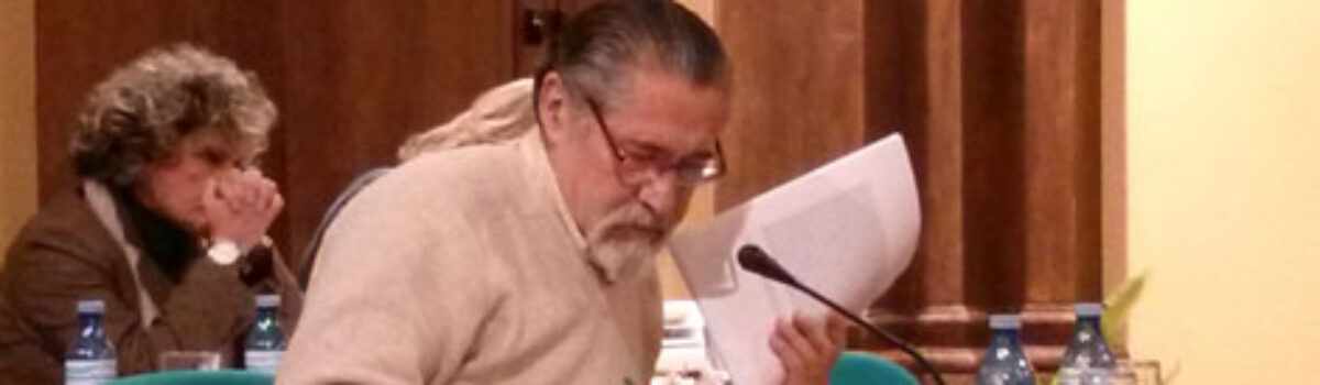 Ruegos y Preguntas de IU en el Pleno de Febrero de 2013