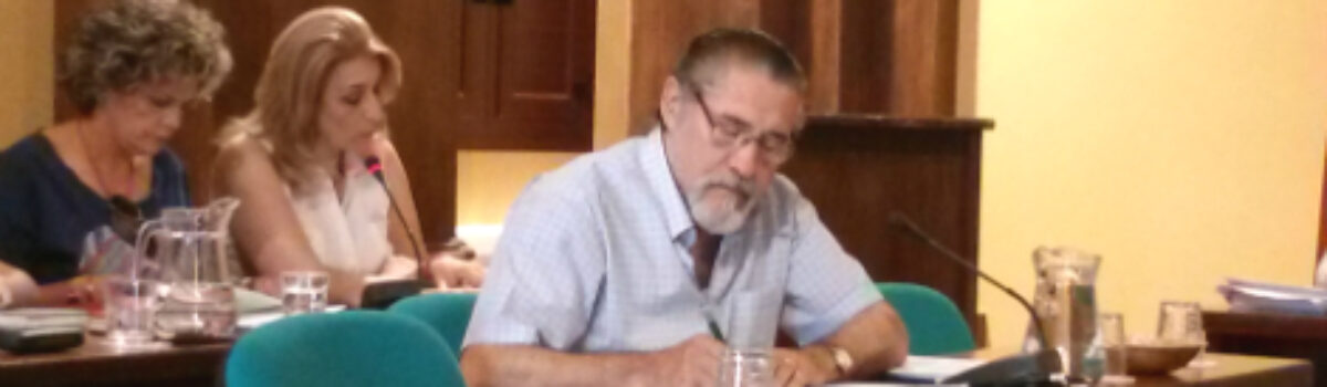 Ruegos y preguntas de IU en el pleno de junio de 2013