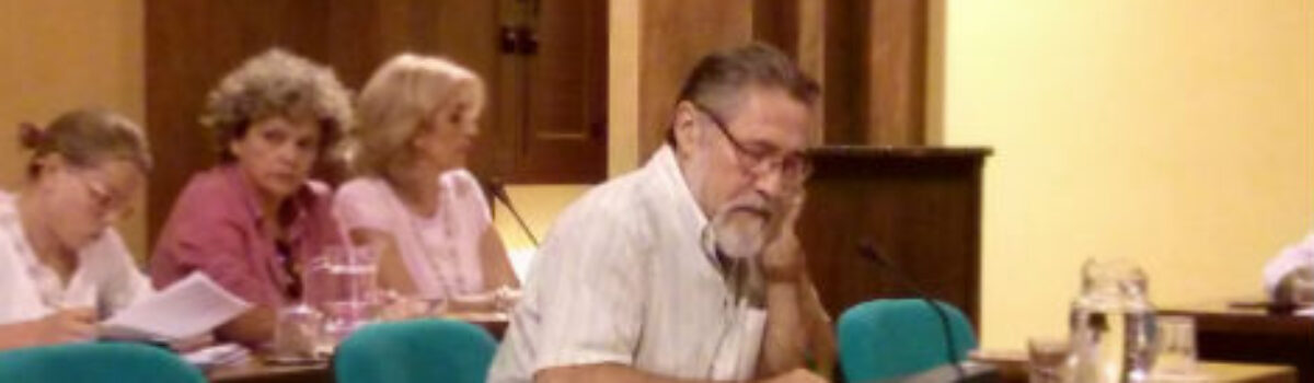 Ruegos y preguntas de IU en el pleno de septiembre de 2013