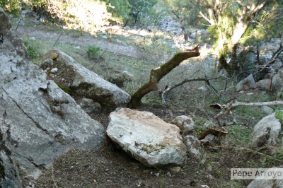 Ladera con rocas desprendidas
