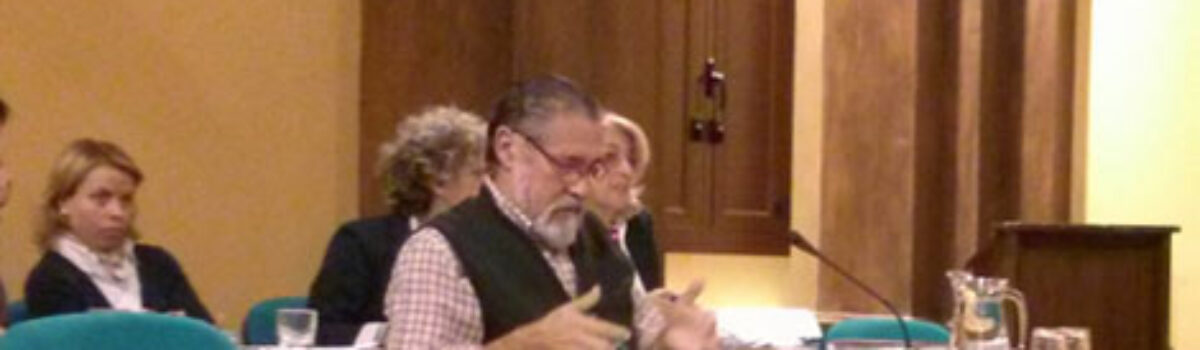 Ruegos y Preguntas de IU en el pleno de octubre de 2013