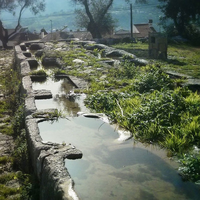 Los 20 pilares