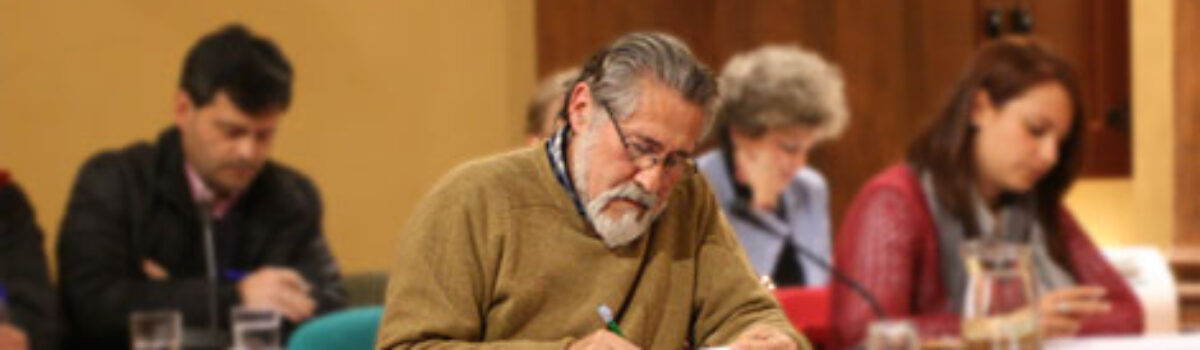 Ruegos y Preguntas de IU en el pleno de Marzo de 2014