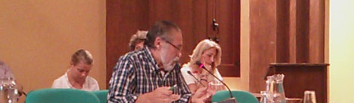 Ruegos y Preguntas de IU en el pleno de Junio de 2014