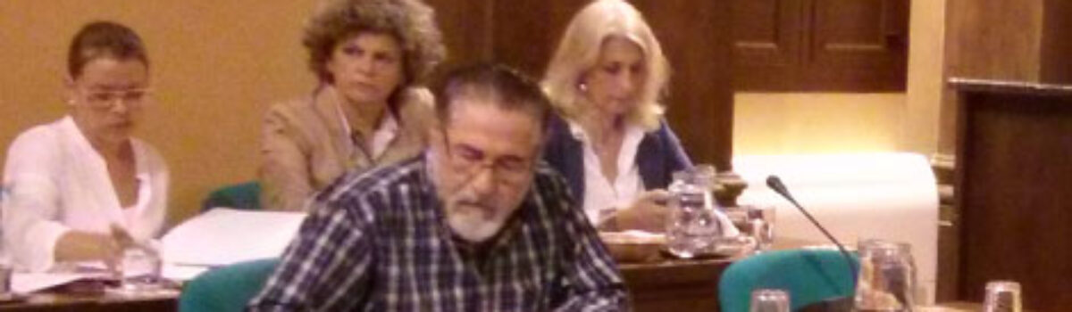 Ruegos y Preguntas de IU en el pleno de Septiembre de 2014