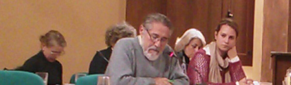 Ruegos y preguntas de Izquierda Unida en el pleno de noviembre de 2014