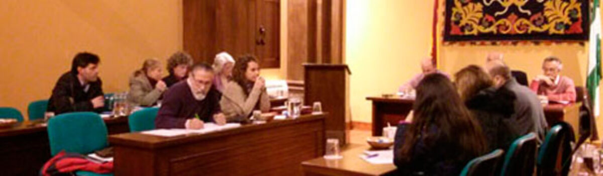 Ruegos y preguntas de IU en el pleno de febrero de 2015